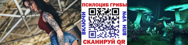 где можно купить наркотик  Сертолово  Псилоцибиновые грибы прущие грибы 